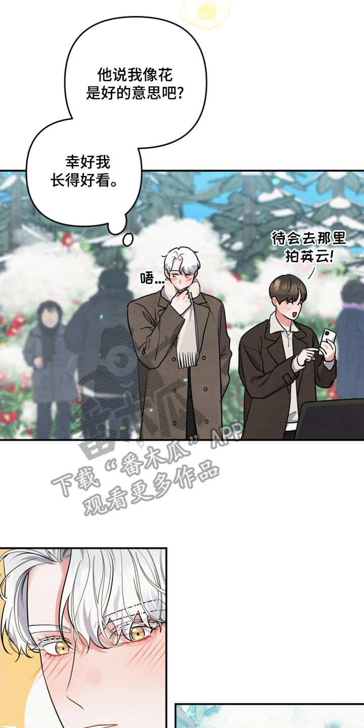 第64章：山茶花16