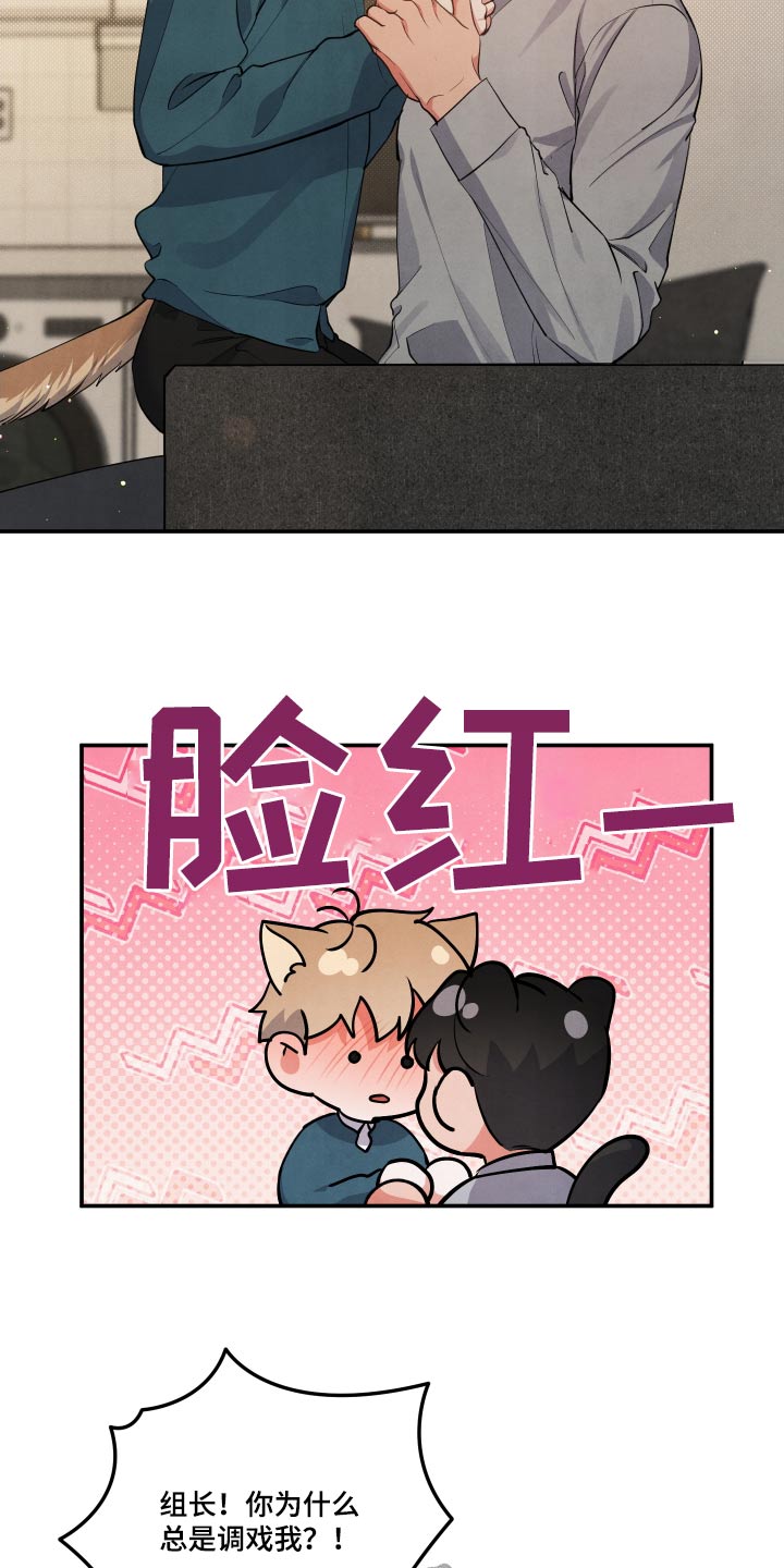 第95章：【第二季】想了解你16