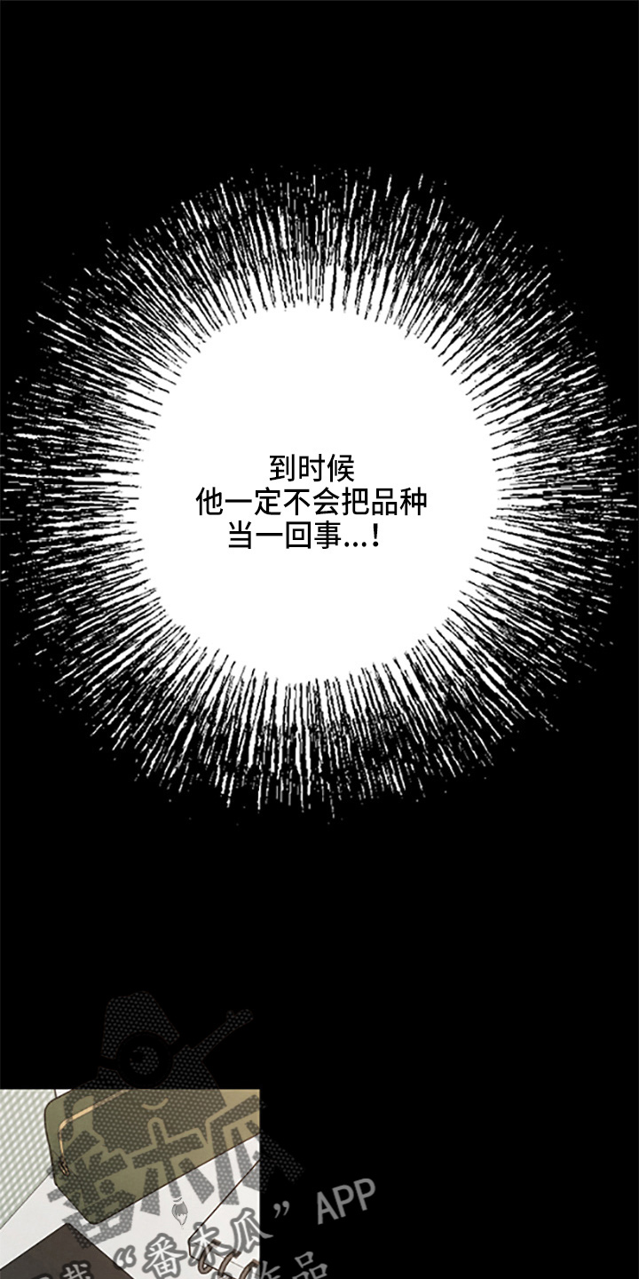 第39章：理想型19
