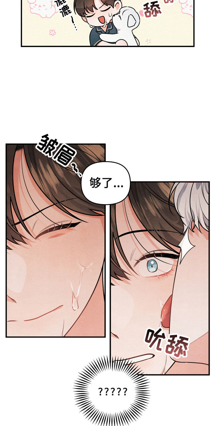 第1章：小型犬7
