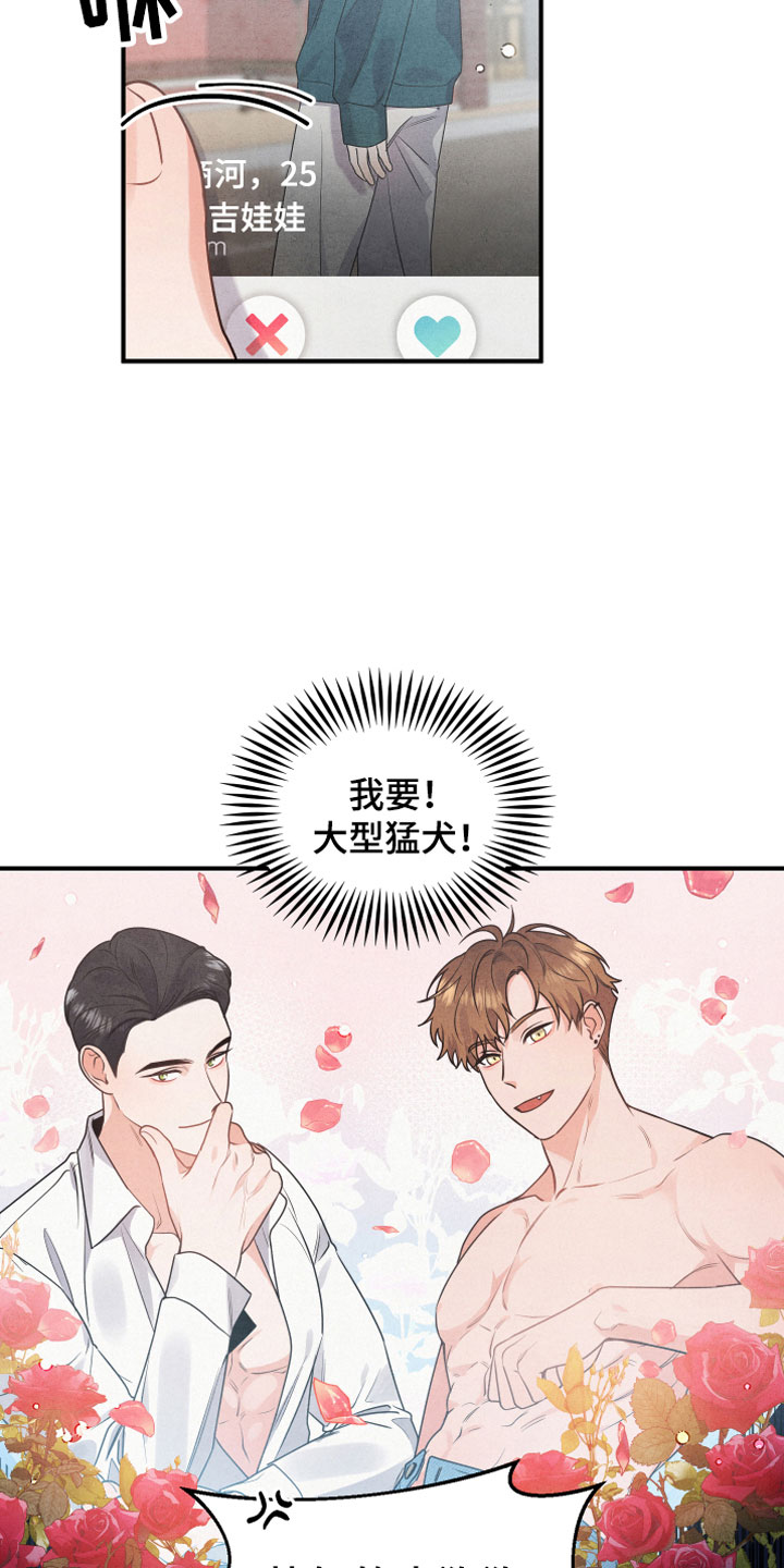 第1章：小型犬3