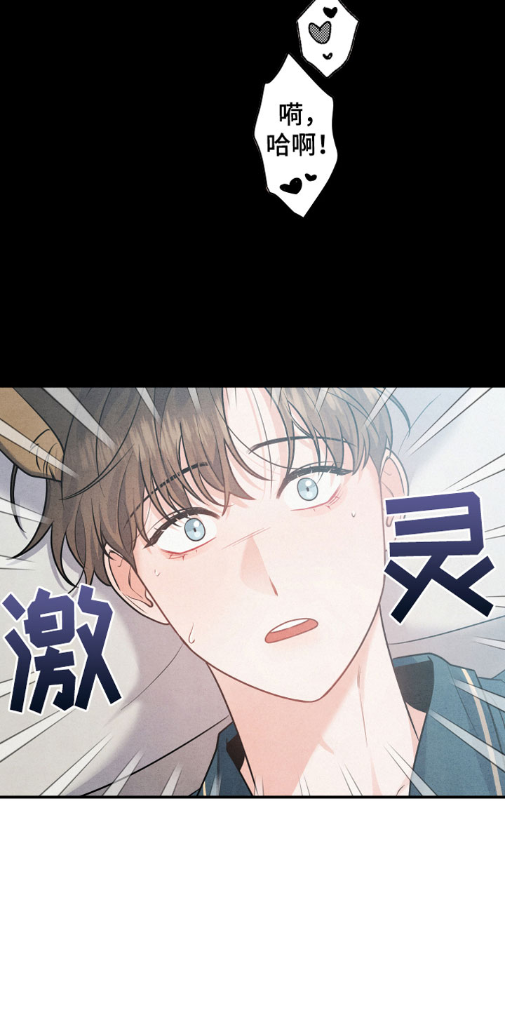 第1章：小型犬19