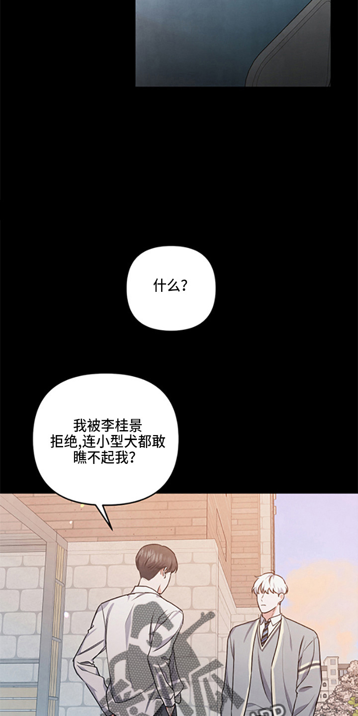 第40章：保护了7