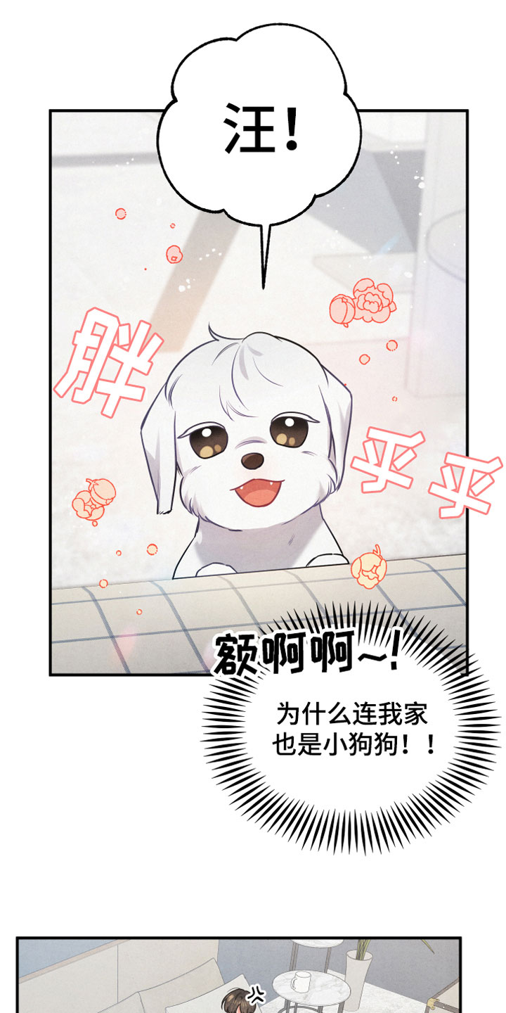 第1章：小型犬5