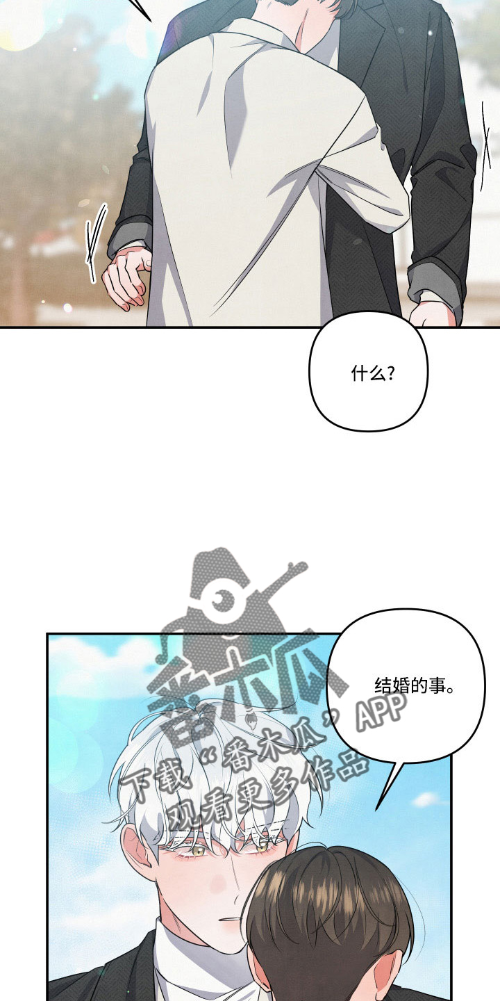 第52章：真心话17