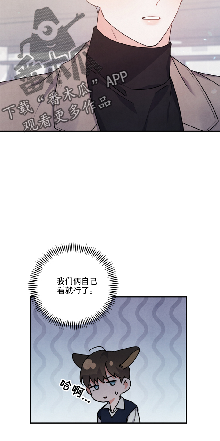 第43章：婚期17