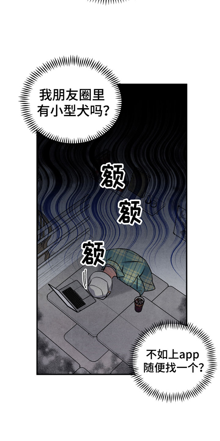 第4章：合适的对象5