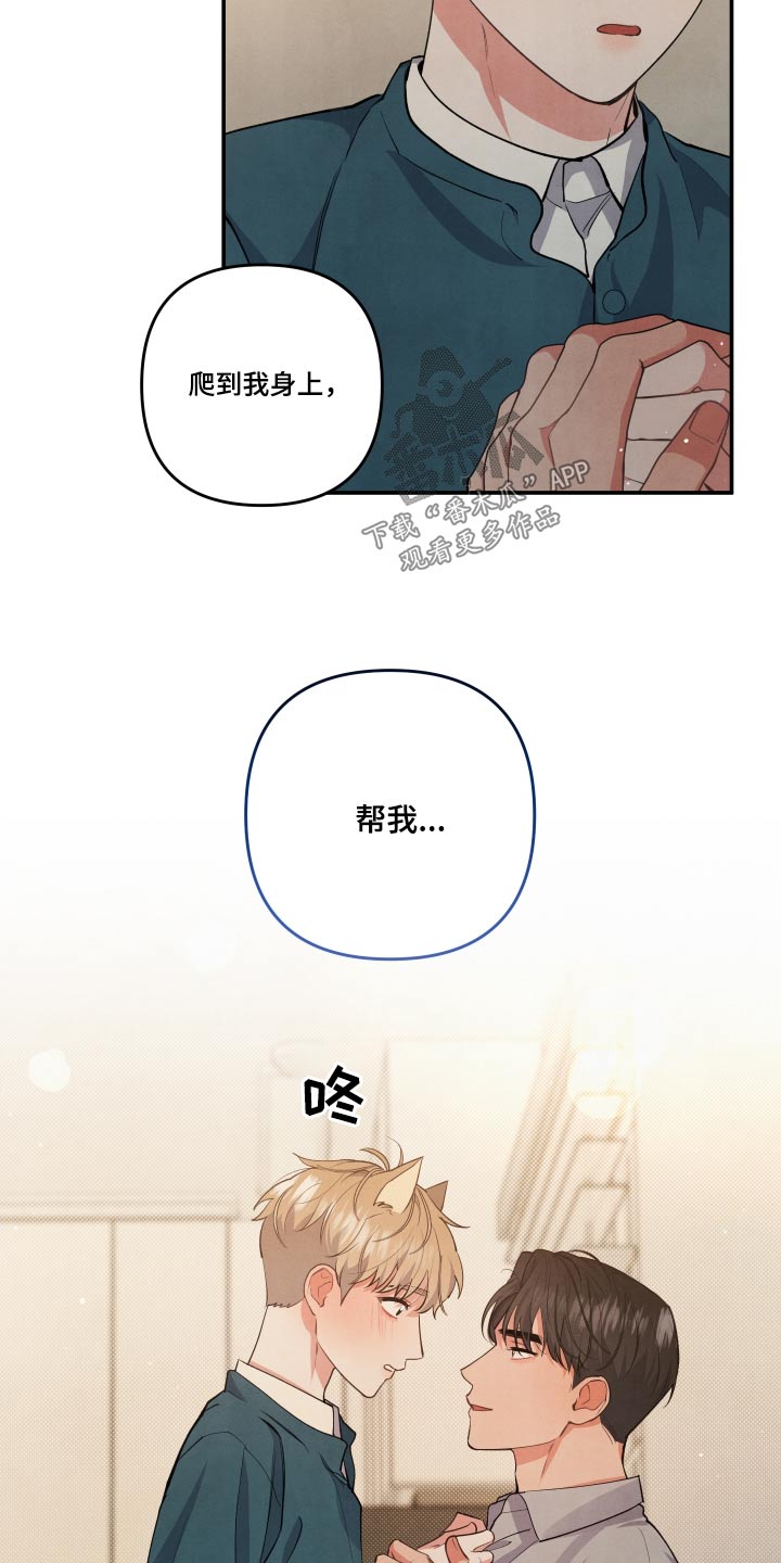 第95章：【第二季】想了解你15