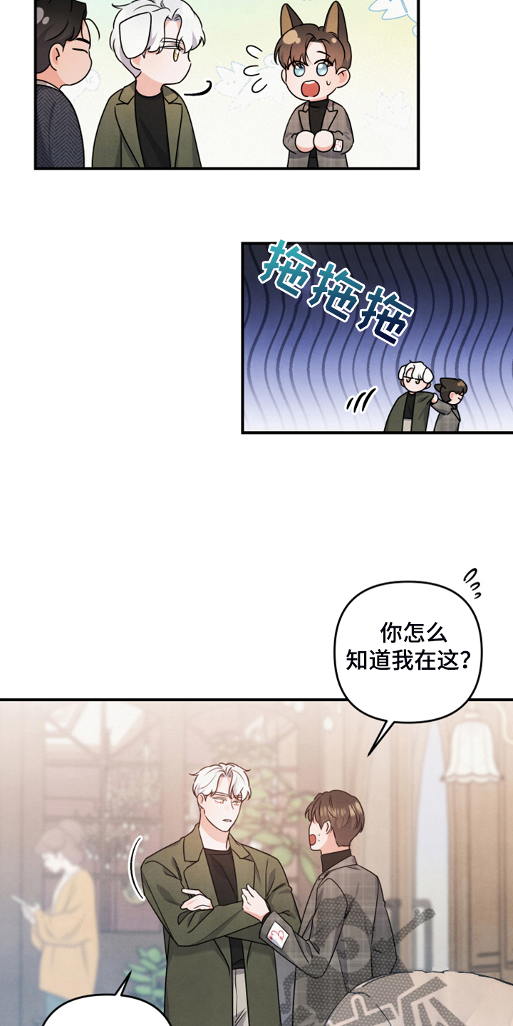 第20章：你的客人10
