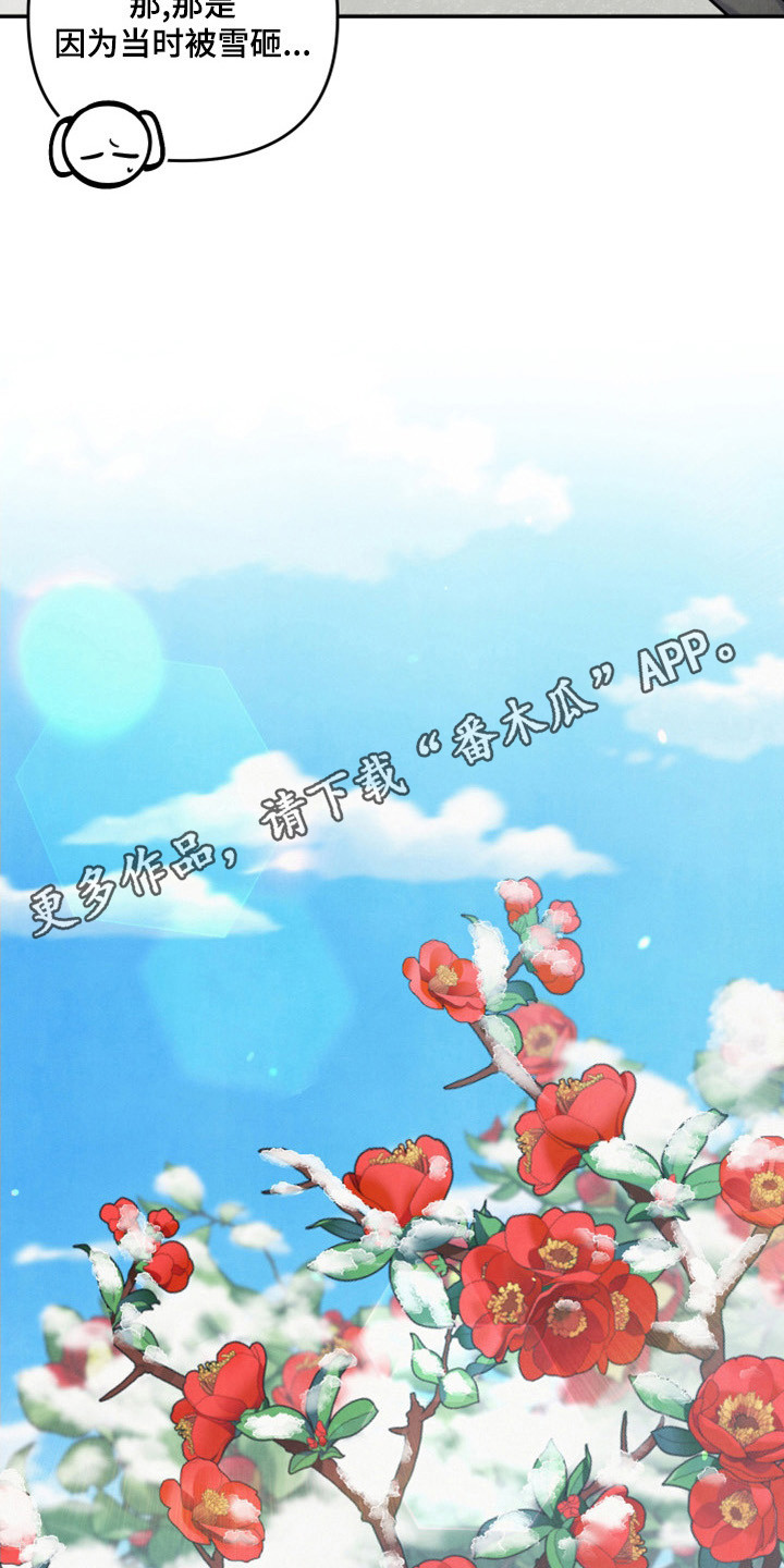 第64章：山茶花10