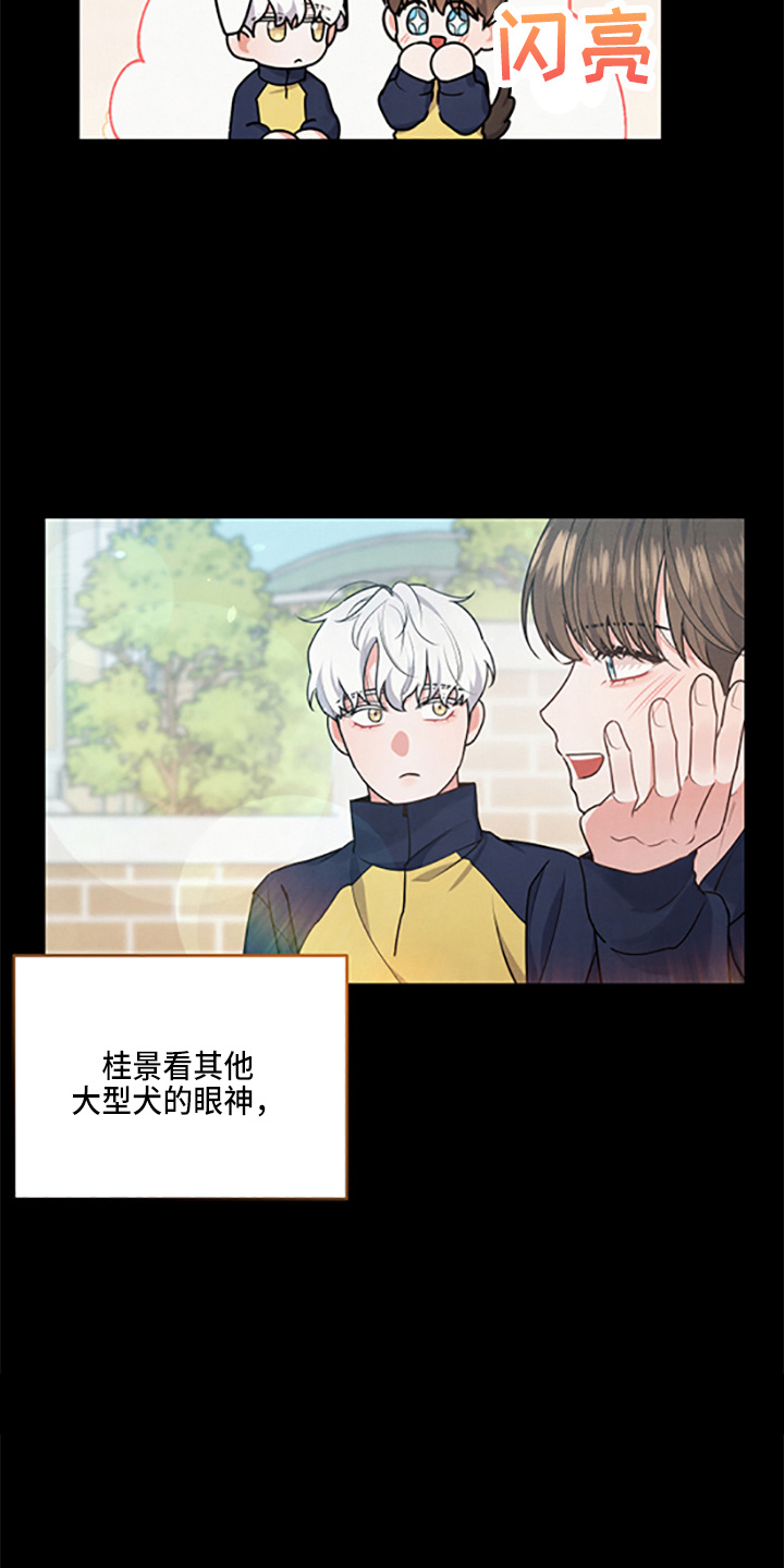 第39章：理想型5