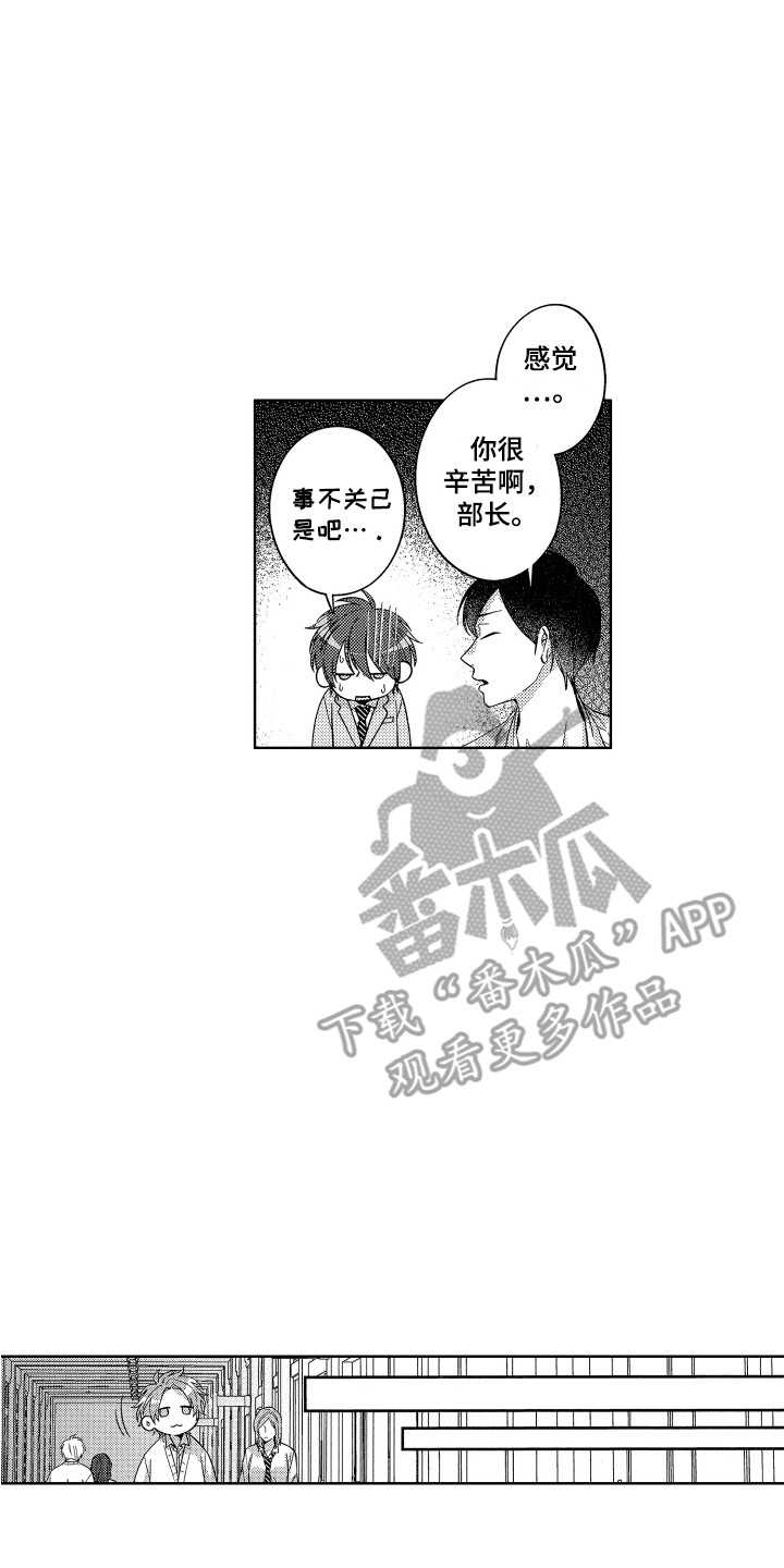 第11章：很显眼11