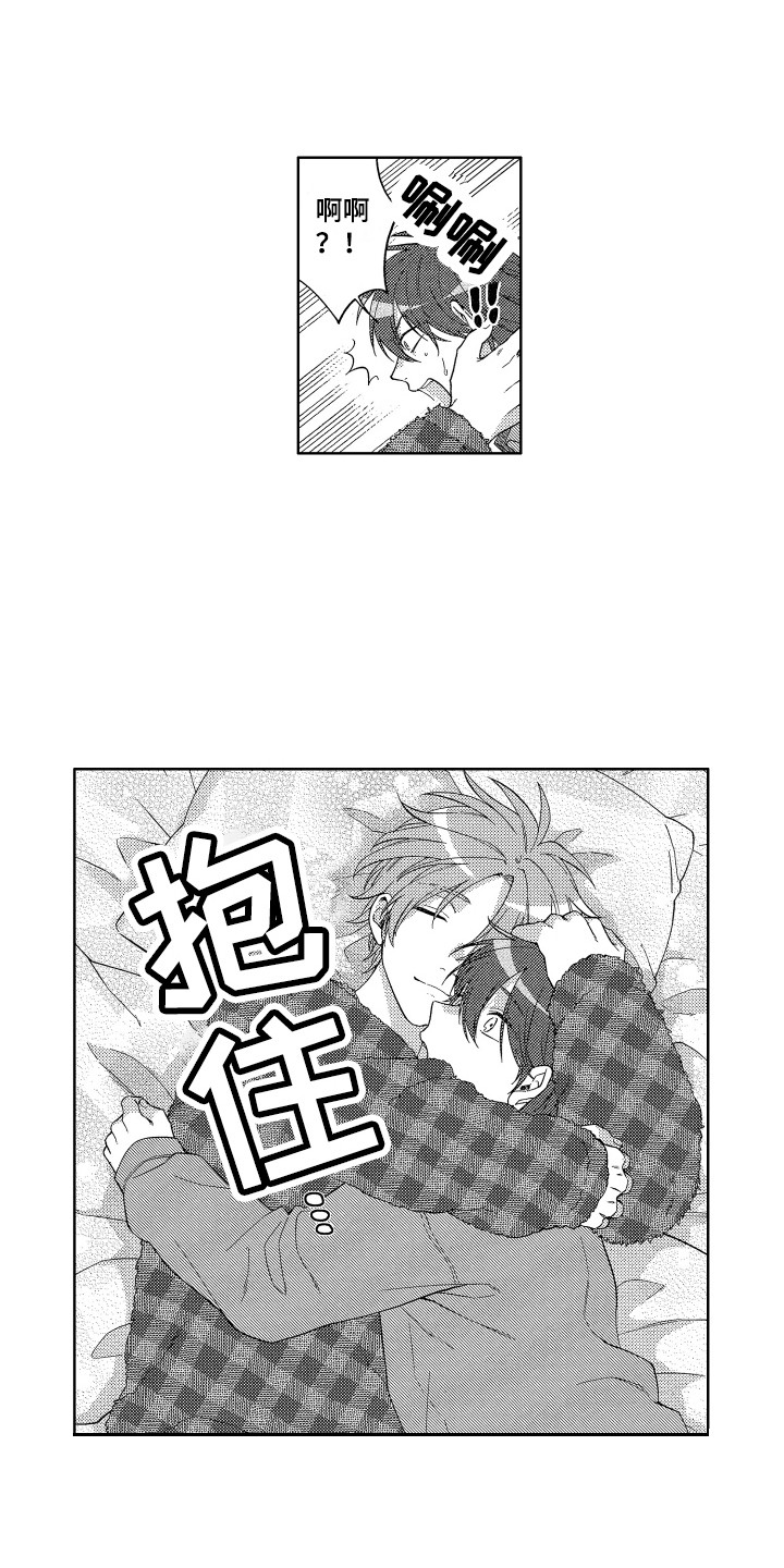 第2章：抱枕10