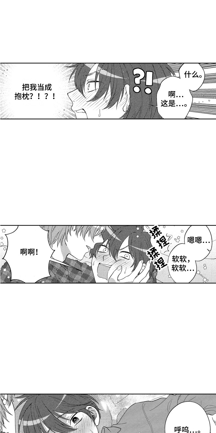 第2章：抱枕11