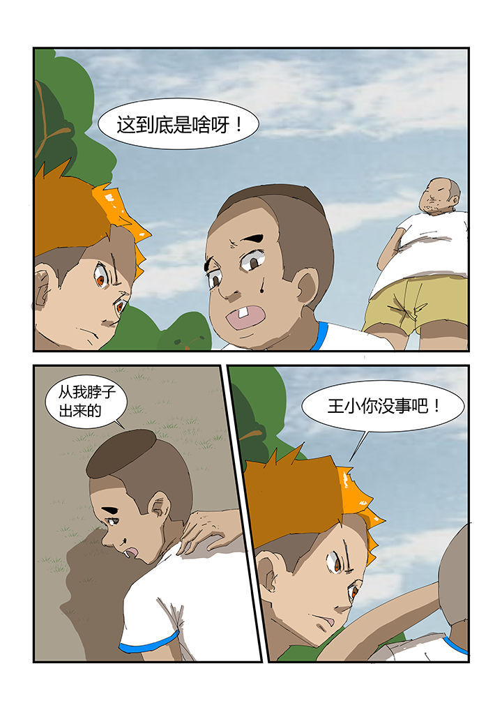 第31章：6