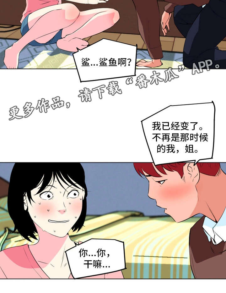 第21章：鲨鱼1