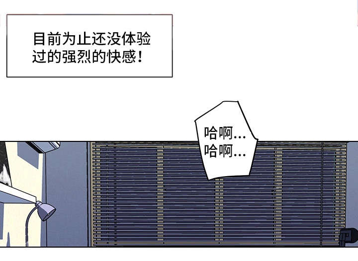 第17章：没体验过15