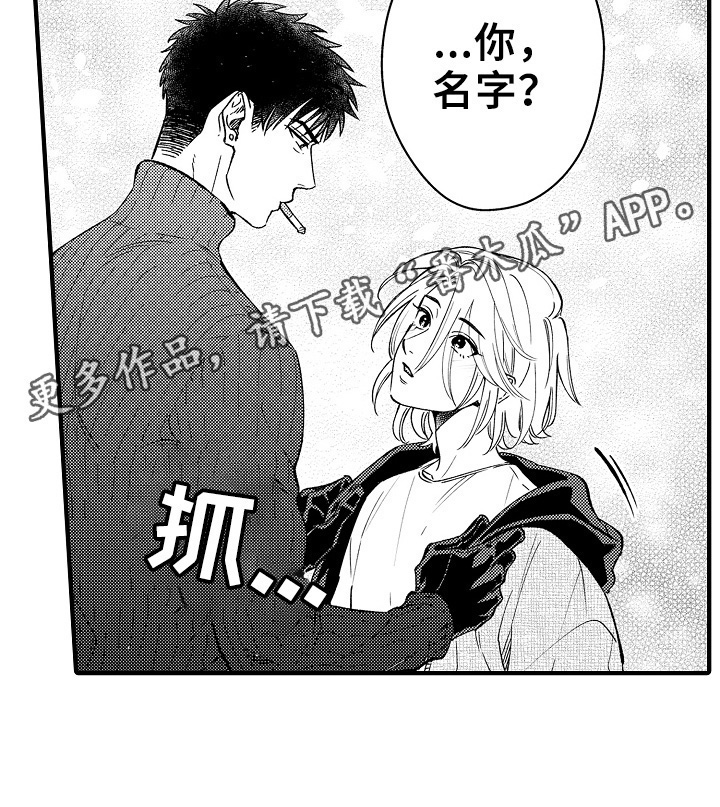 第9章：收留8