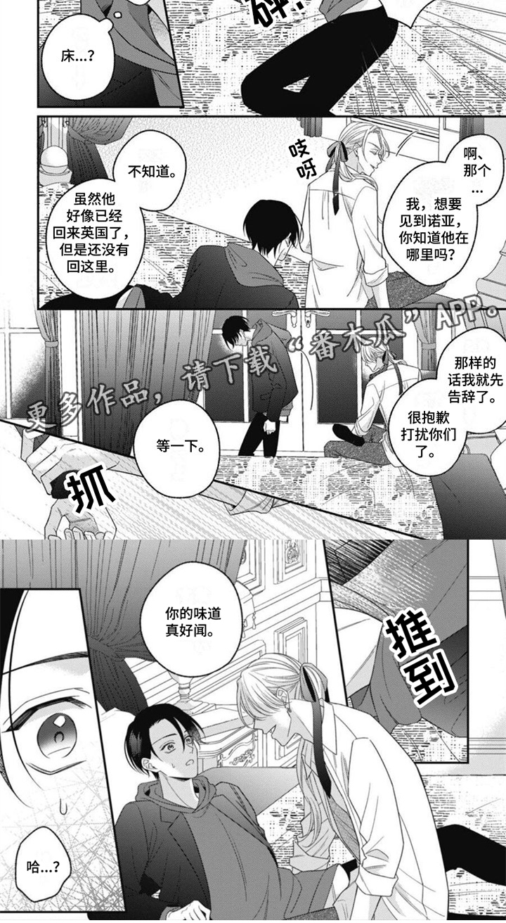 第11章：他的哥哥8