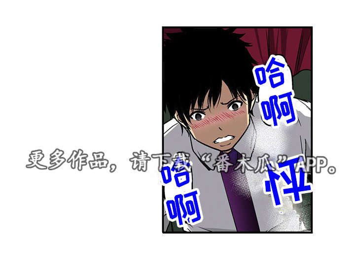 第17章：秘密12