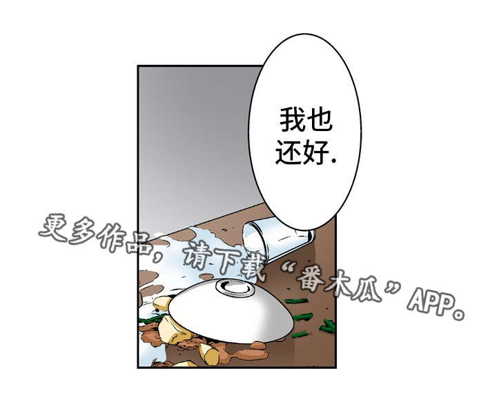 第25章：条件16
