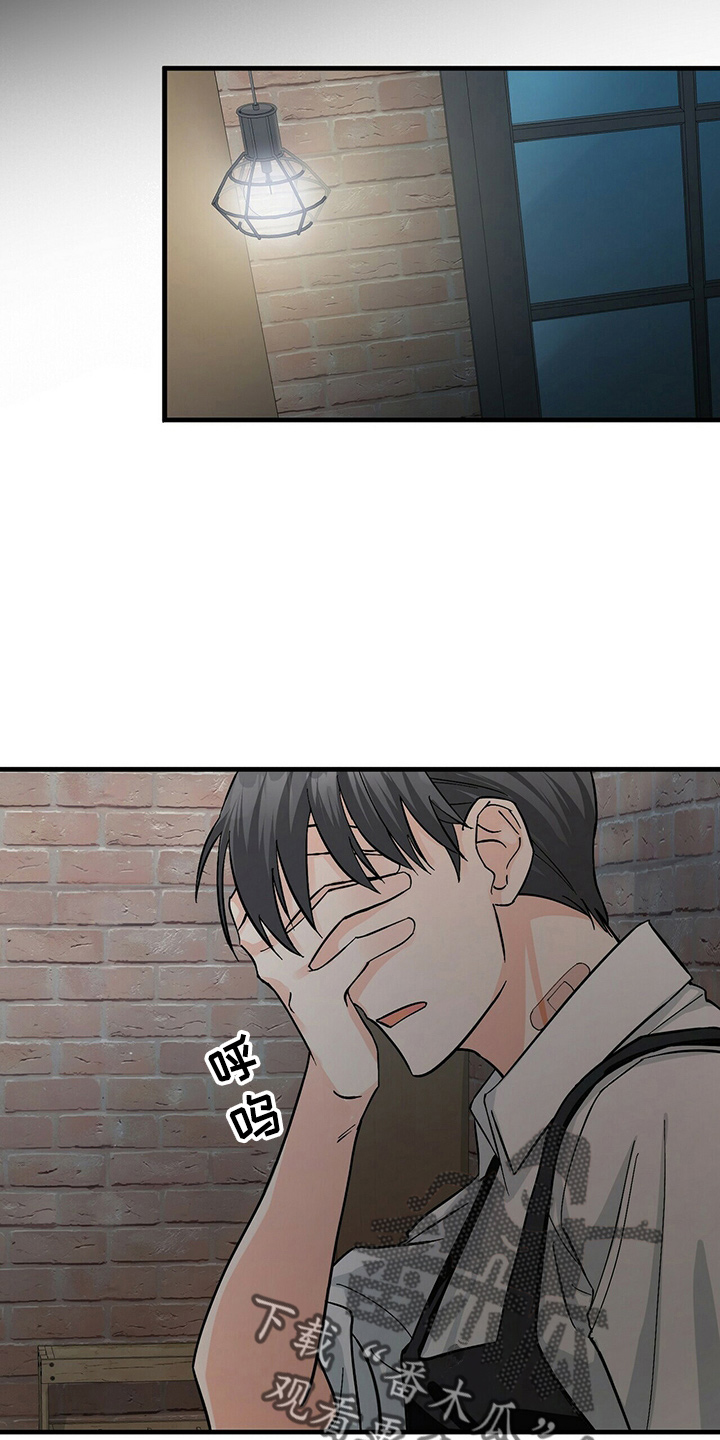 第21章：刘玫瑰6