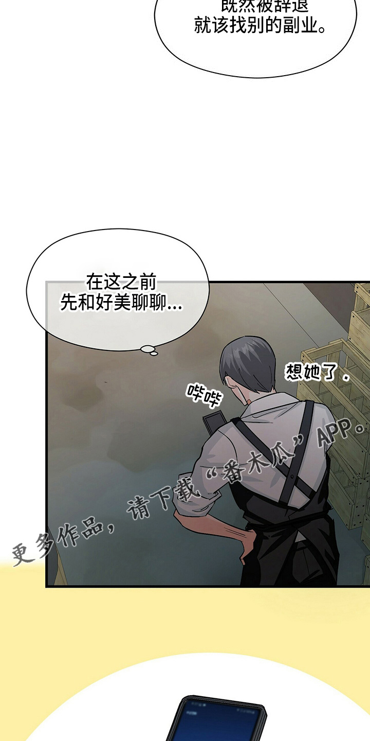第21章：刘玫瑰8