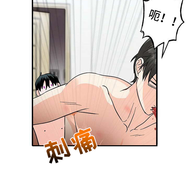 第19章：像梦一样9