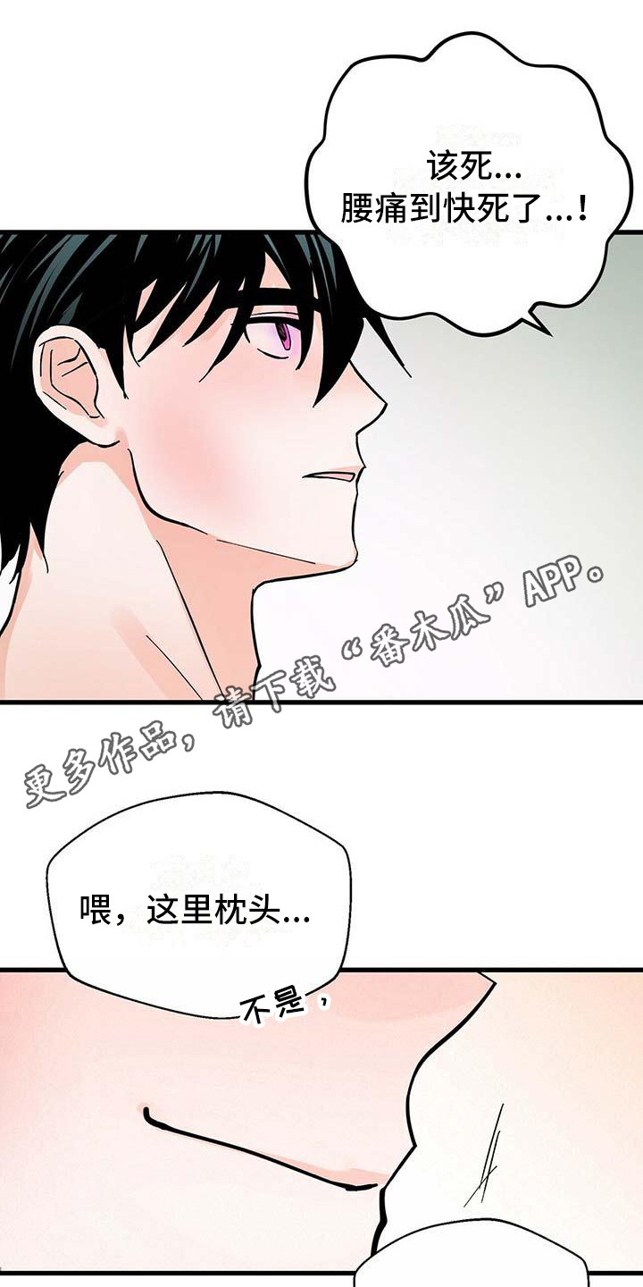 第19章：像梦一样10