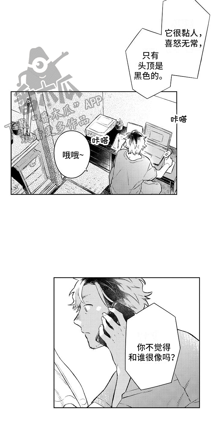 第11章：成为恋人10