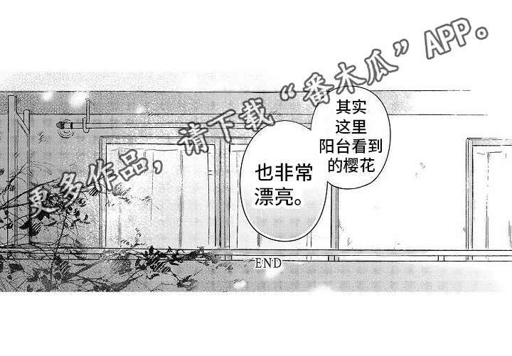 第27章：【番外】春日的樱花14