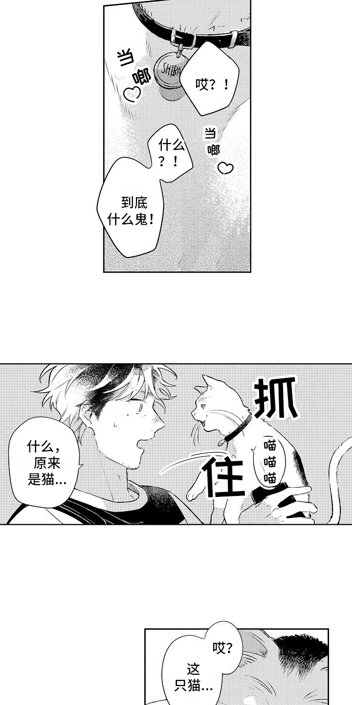 第23章：思念6