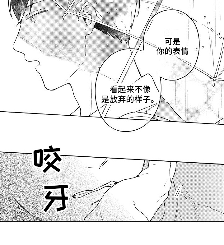 第3章：不再拍照14