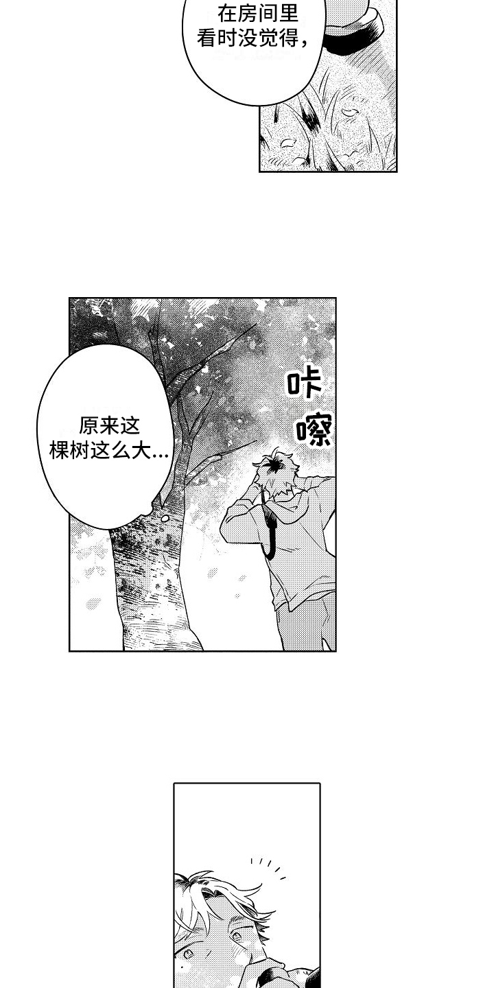 第1章：烦恼11