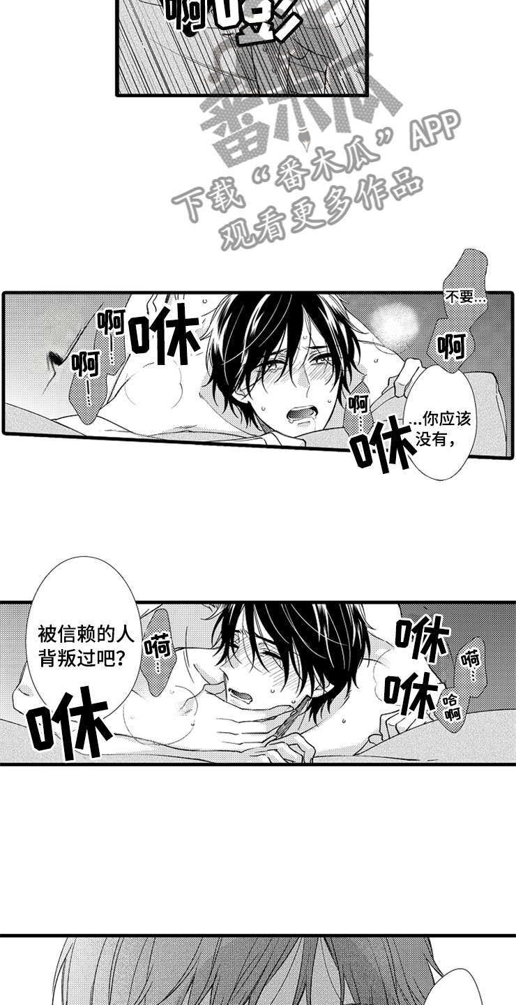 第13章：疼痛14