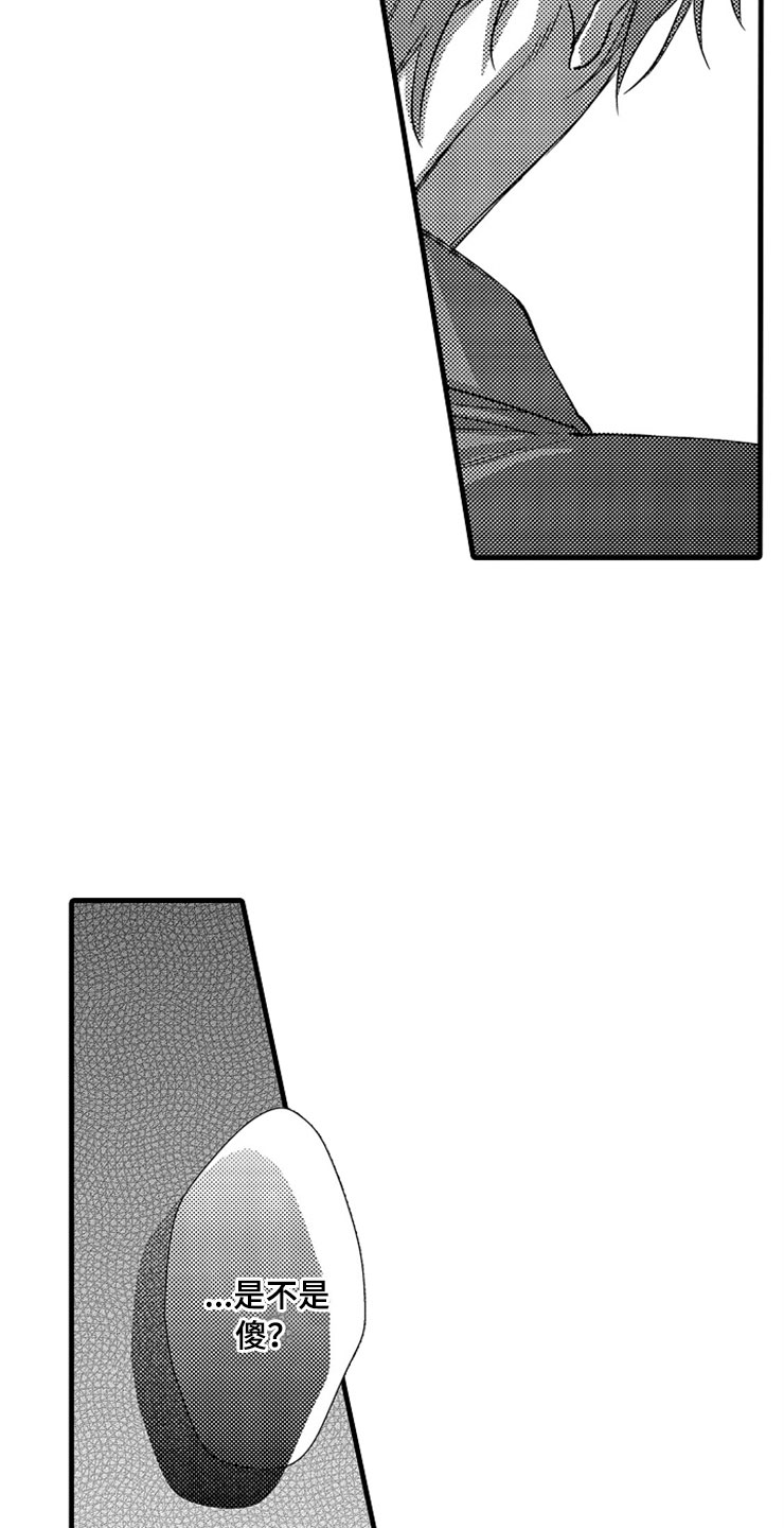 第14章：爱情17