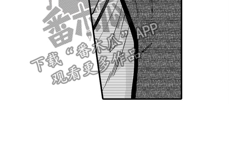 第14章：爱情25