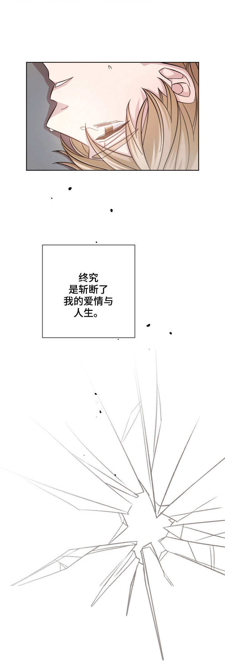 第15章：误伤6