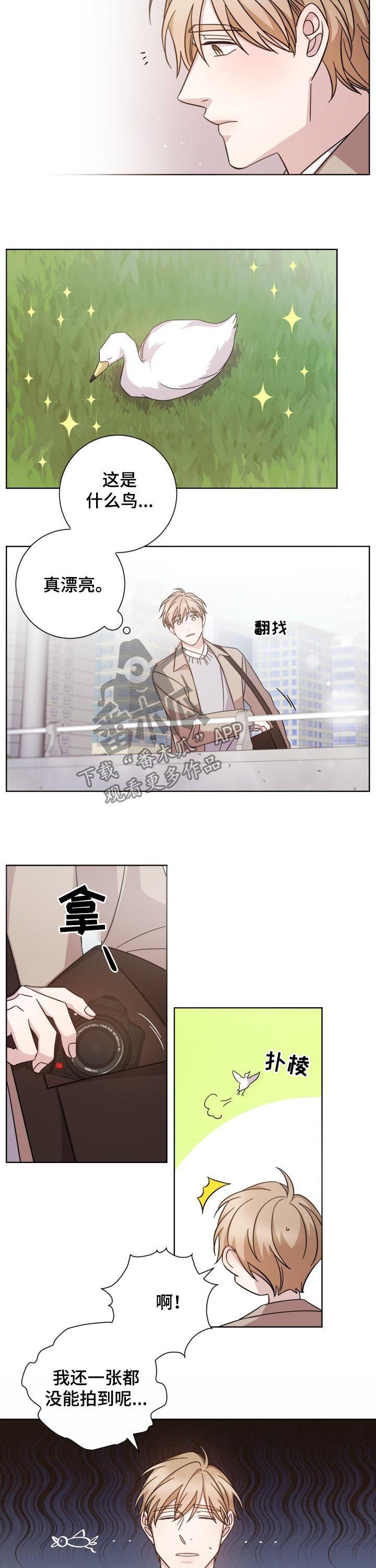 第72章：变得陌生2