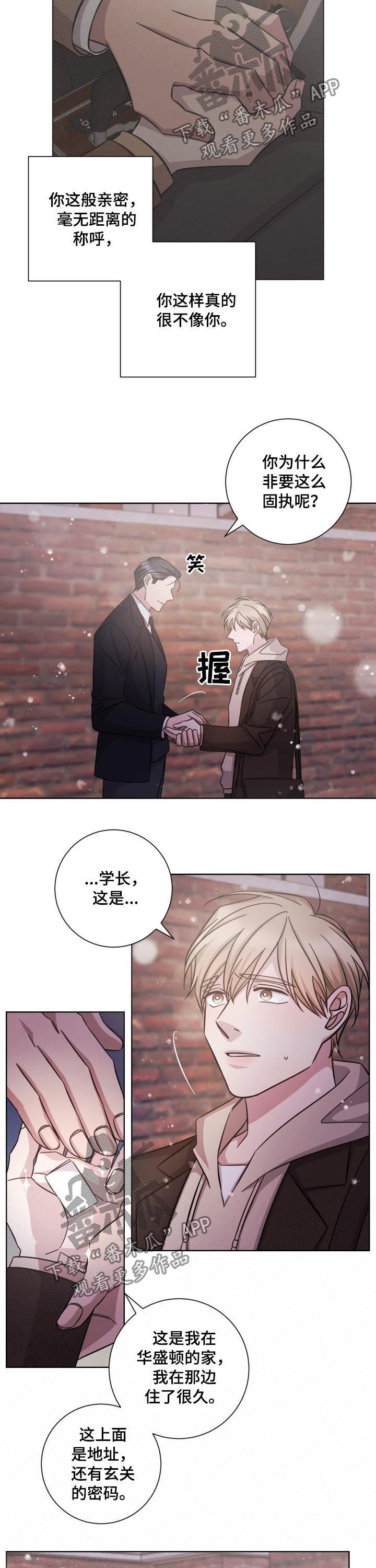 第88章：并不是爱情4