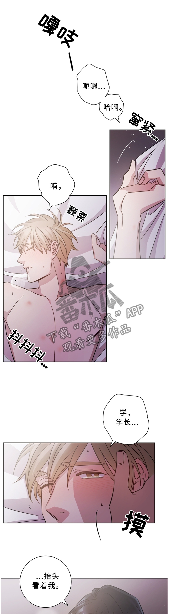 第32章：戒指0