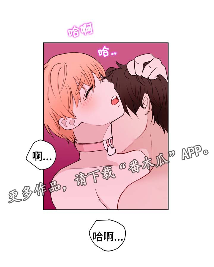 第32章：不会感到腻烦19