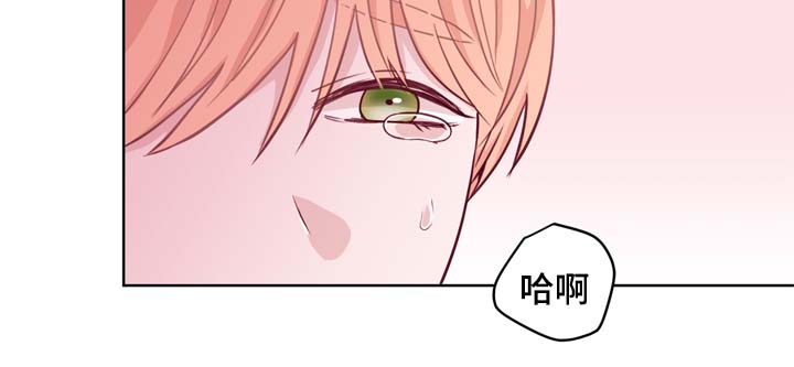 第40章：特别的礼物12