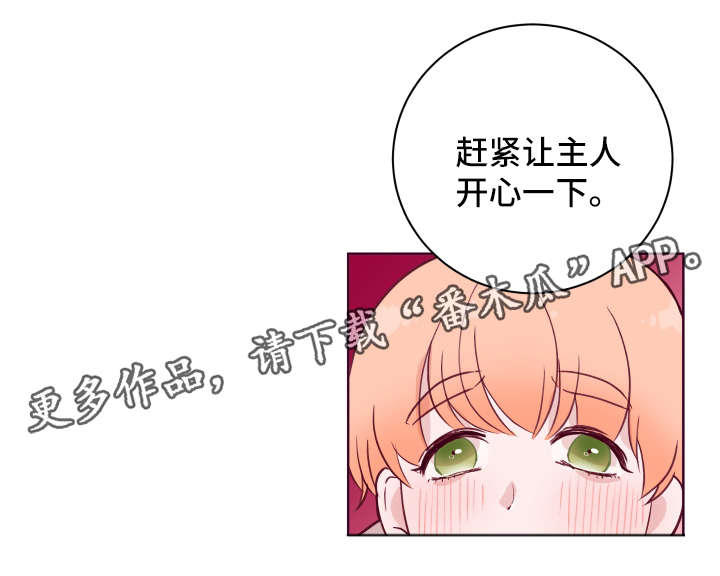 第55章：惩罚11