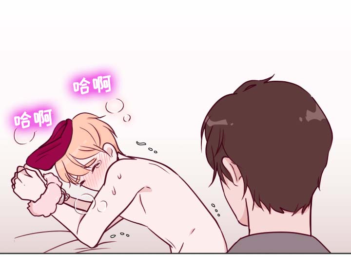 第49章：最喜欢15
