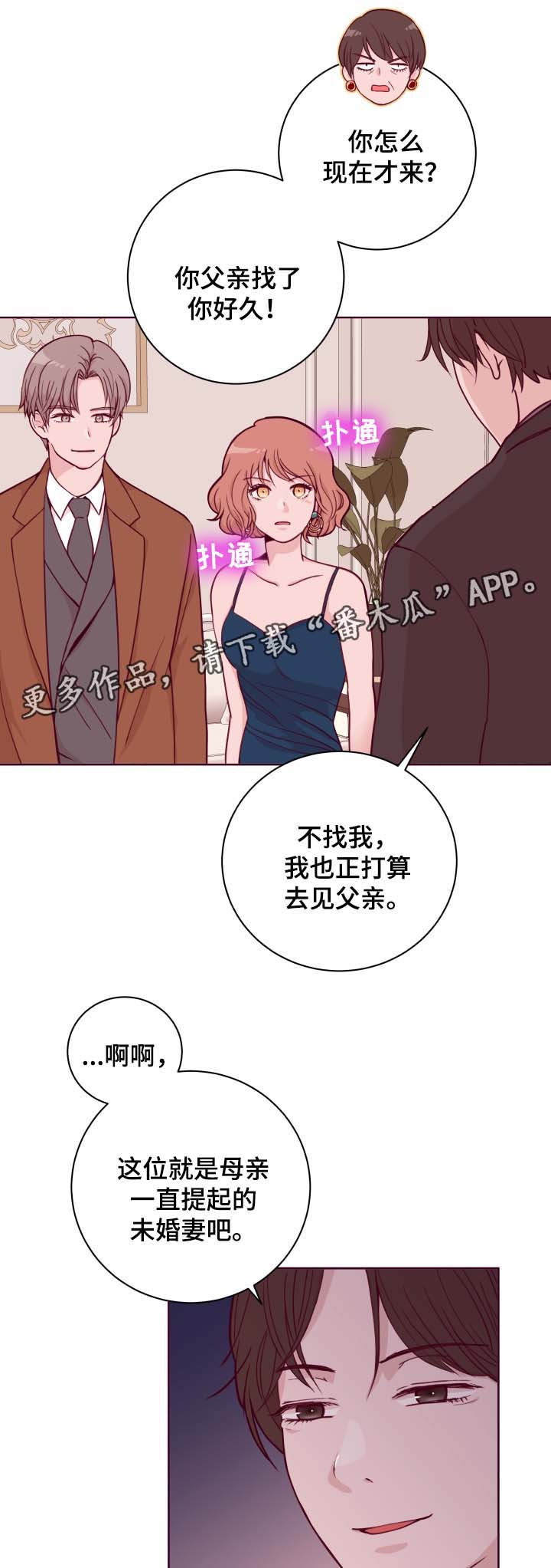 第42章：生日晚宴10