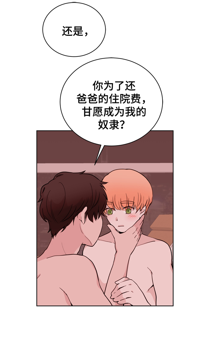 第32章：不会感到腻烦14