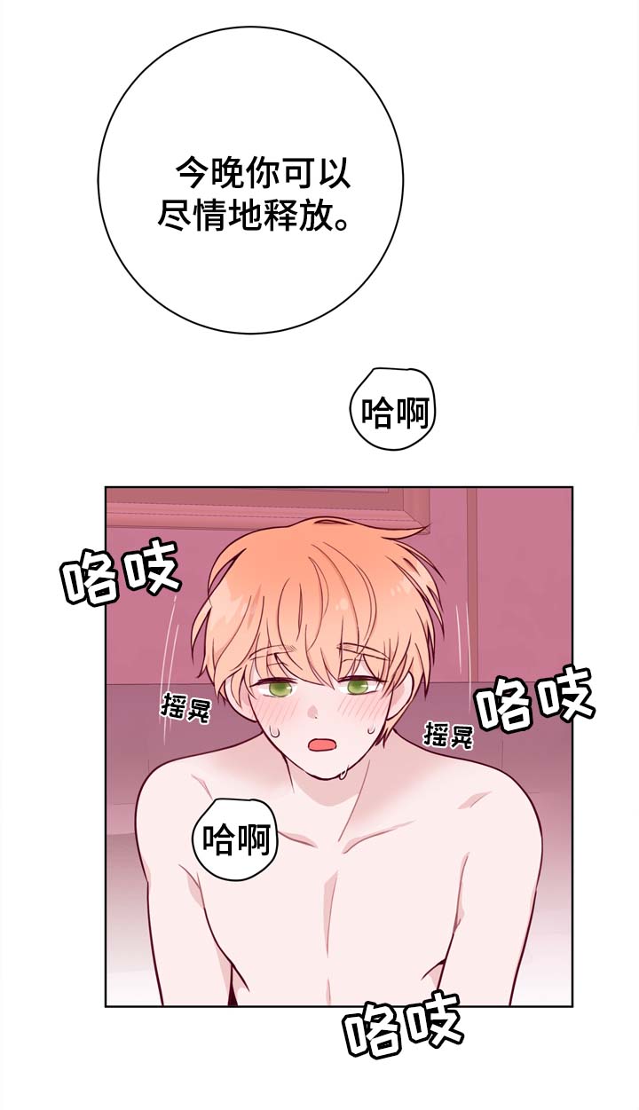 第40章：特别的礼物14