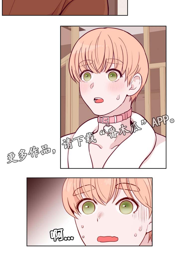 第45章：弟弟的爱人1