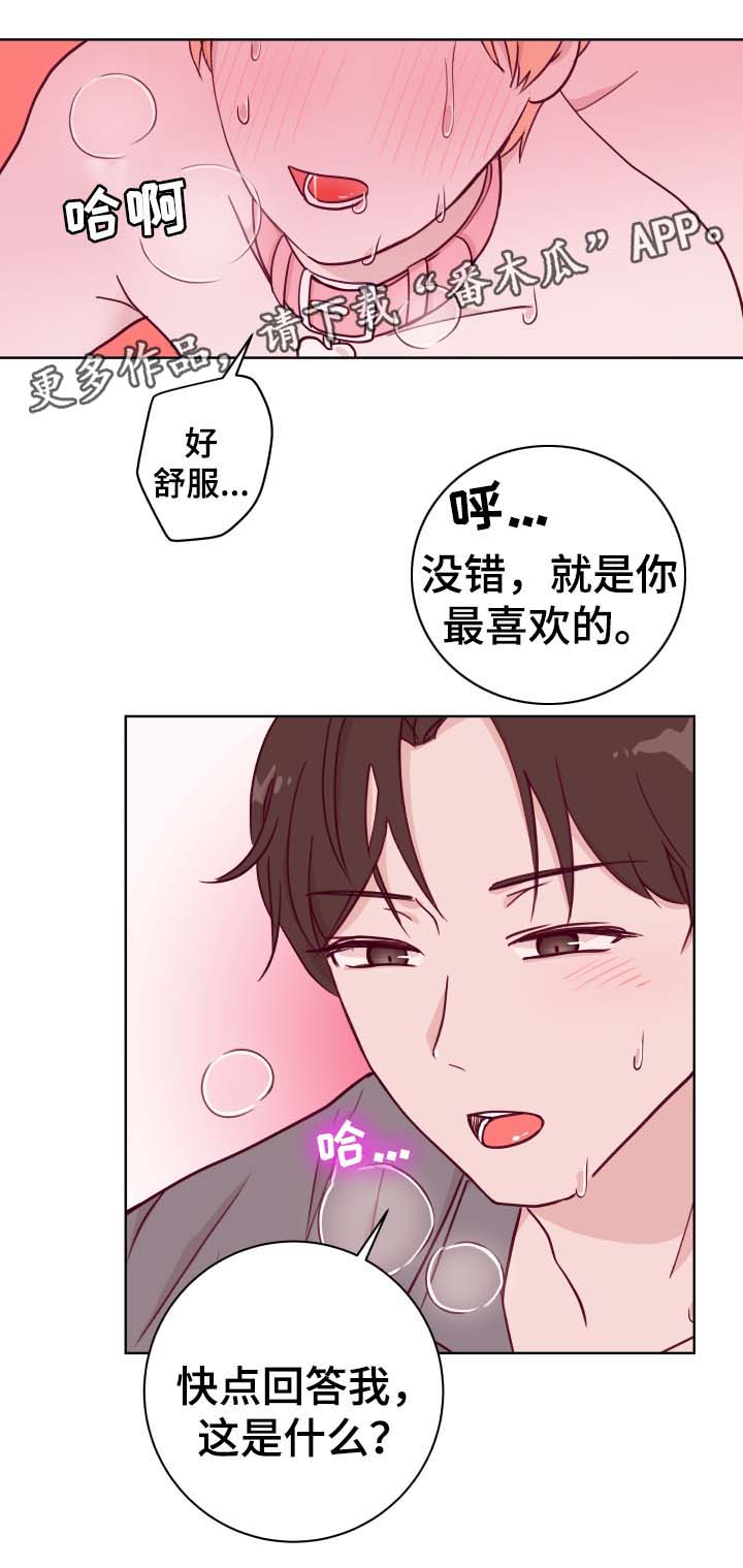 第49章：最喜欢20